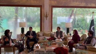 Overseas Pakistanis Vital to National Growth, Says CM Maryam