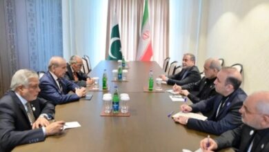 Pakistan, Iran Pledge Stronger Ties Amid Regional Tensions at ECO Summit
