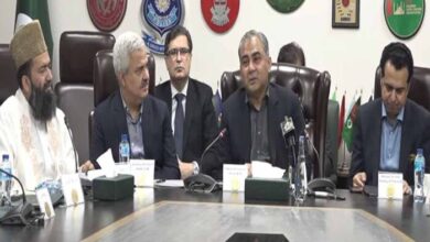 Pakistan’s Role in Iran-Israel Ceasefire Praised by Interior Minister