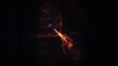 Scientists Witness Planet Formation Around Distant Star