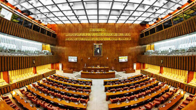 Senators Demand Justice After Brutal Honour Killing