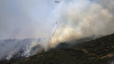 Syria Battles Worsening Wildfires as Turkey Sends Urgent Help