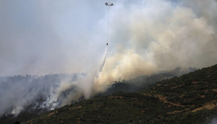 Syria Battles Worsening Wildfires as Turkey Sends Urgent Help