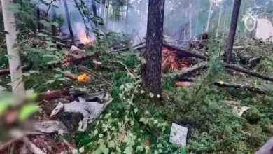 Tragedy in Russia Plane Crash Claims 48 Lives in Far East