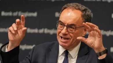 UK Interest Rates May Fall If Job Market Weakens, Says Bank Governor