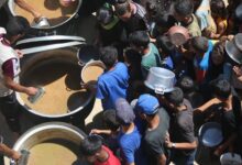 UN Nearly 800 Killed Seeking Food Aid in Gaza Since May