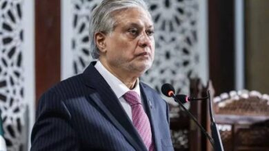 Dar Condemns Israeli, US Strikes on Iran at SCO Meet