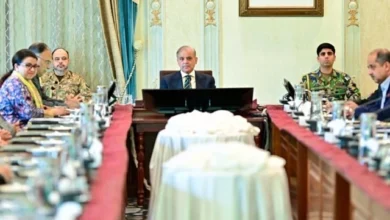 PM Shehbaz Vows Economic Revival Through Deep Reforms