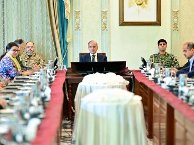 PM Shehbaz Vows Economic Revival Through Deep Reforms