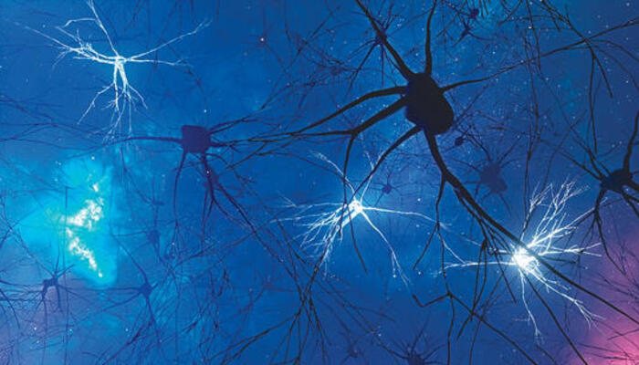 First-Ever Human Brain Map Unveils Astonishing Complexity