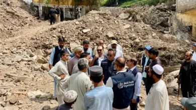 Gates Foundation Boosts WHO with $1 Million