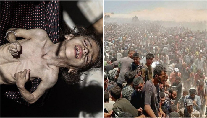 Gaza famine Schools babies genocide