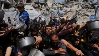 Israeli Settler Attack Wounds Palestinians as Gaza Faces Starvation, Drone Strikes