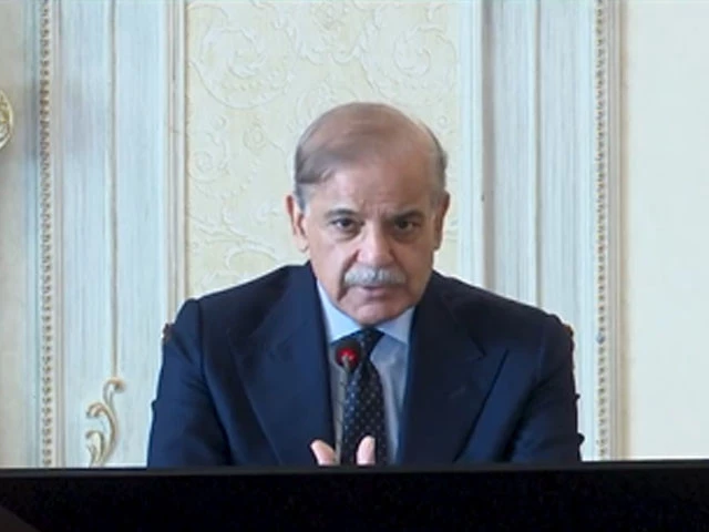 Saudi Crown Prince Invites PM Shehbaz to FII