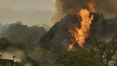 Wildfires Kill at Least 3 and Displace Thousands Across Southern Europe