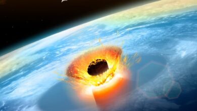 Asteroid Impact Created Silverpit Crater Beneath the North Sea