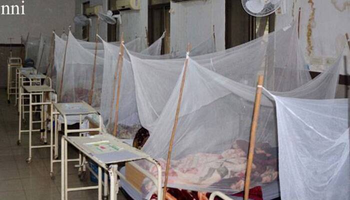Dengue Cases Surge in Rawalpindi as Health Teams Step Up