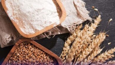 Floods Trigger Wheat and Flour Price Surge Across Pakistan