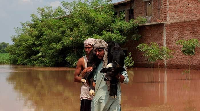 Govt Vows Full Rehabilitation as Natural Disasters Hit Hard