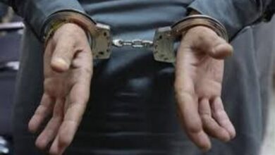 Illegal Housing Scam Exposed as Theme Park Owner Arrested