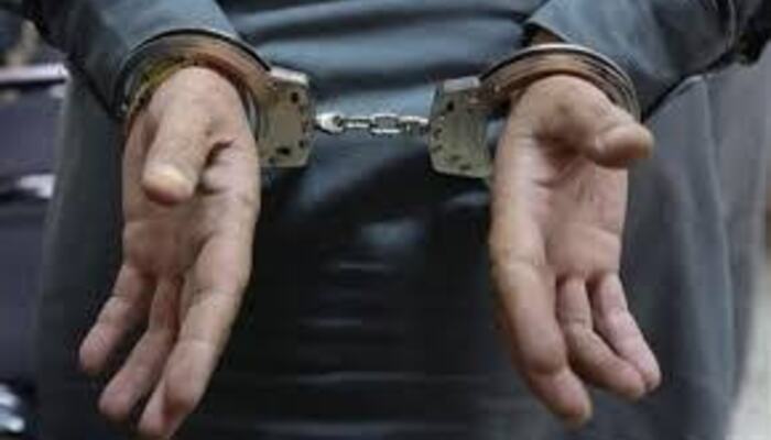 Illegal Housing Scam Exposed as Theme Park Owner Arrested