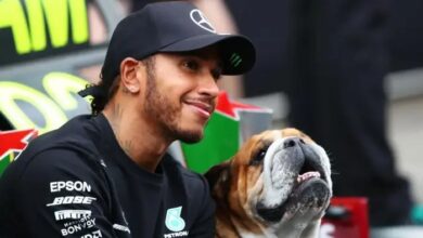 Lewis Hamilton Mourns Beloved Dog Roscoe
