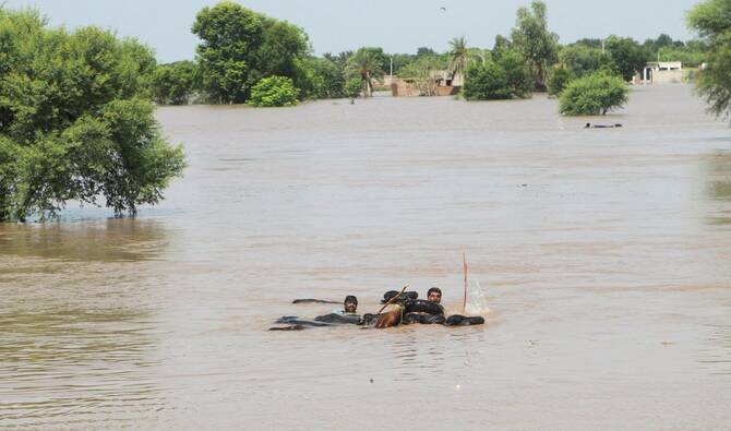 Rising Floodwaters Trigger Army Deployment in Southern Punjab