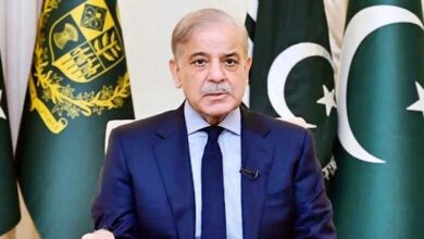 Shehbaz Sharif Joins UNGA 80th Session with Key Meetings