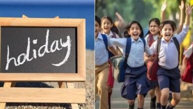 Punjab Declares Consecutive Holidays After Diwali Festivities 4 Punjab Declares Consecutive Holidays After Diwali Festivities