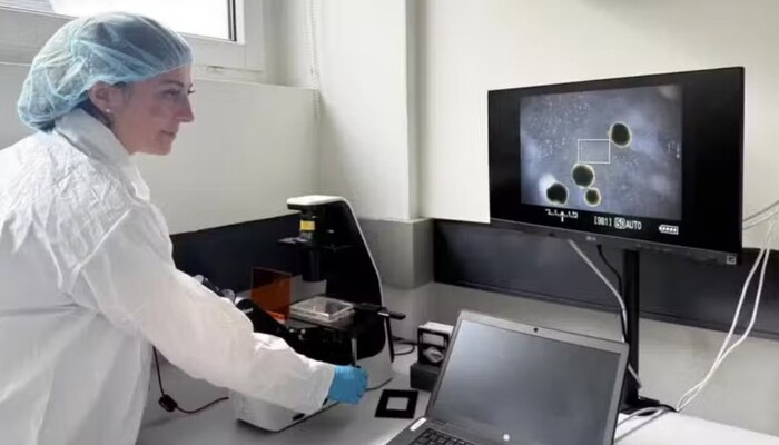 Scientists Create Mini Human Brains to Power Future Computers