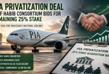 PIA Privatization Deal