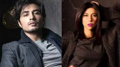 Lahore High Court suspends five million rupee fine for Meesha Shafi