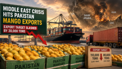 Pakistan Mango Exports