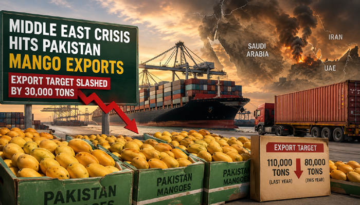 Pakistan Mango Exports