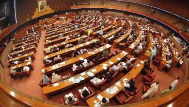 NA Finance Committee Rejects FBR Plan to Share Taxpayer Data With Banks