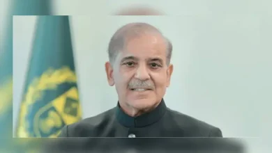 PM Shehbaz Reviews Security Measures in 12 KP Districts